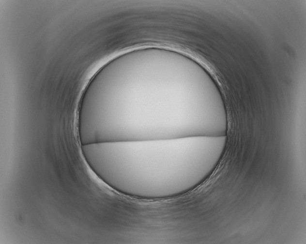 X0000115651535200911101106