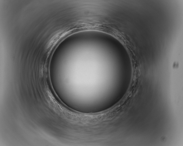 X0000115650002200911101550