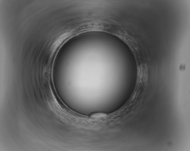 X0000115650003200911101550