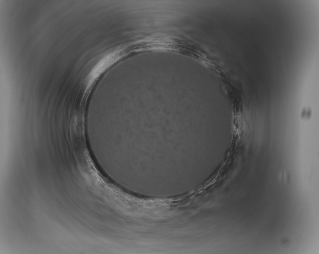 X0000115650004200911101550