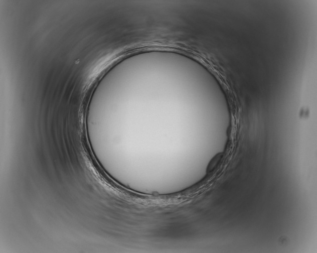 X0000115650005200911101550
