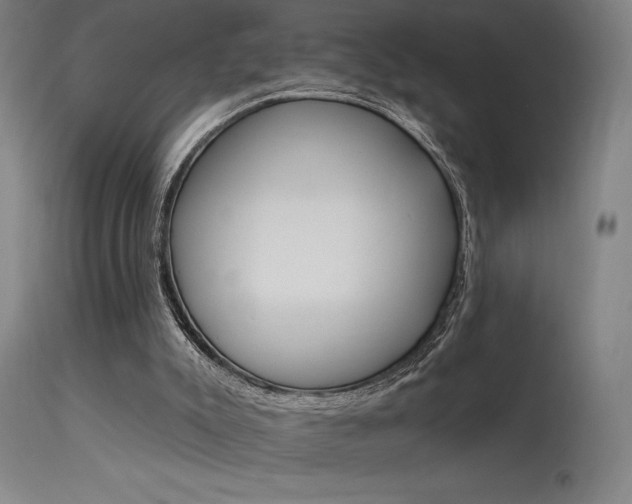 X0000115650007200911101550
