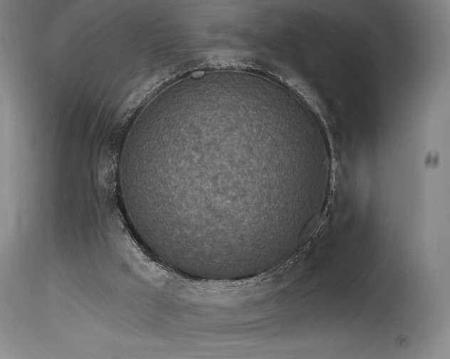 X0000115650009200911101550