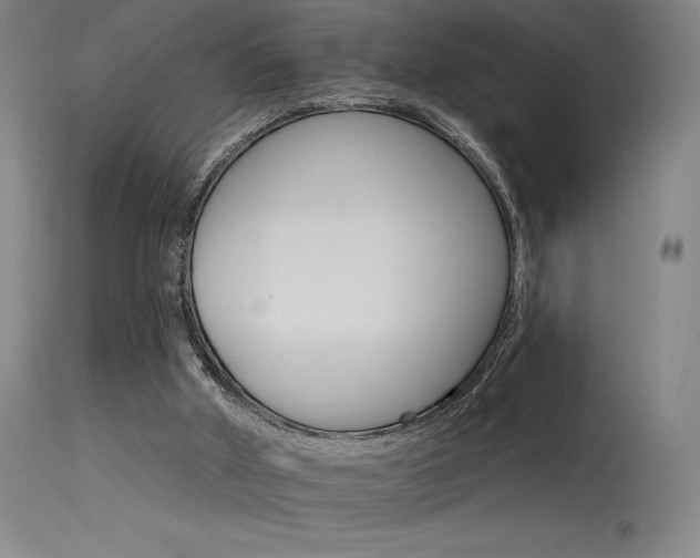 X0000115650010200911101550
