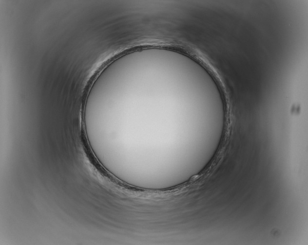 X0000115650011200911101550