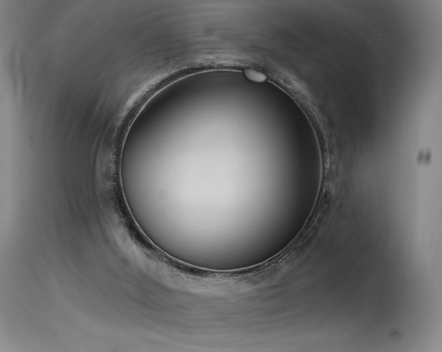 X0000115650012200911101550