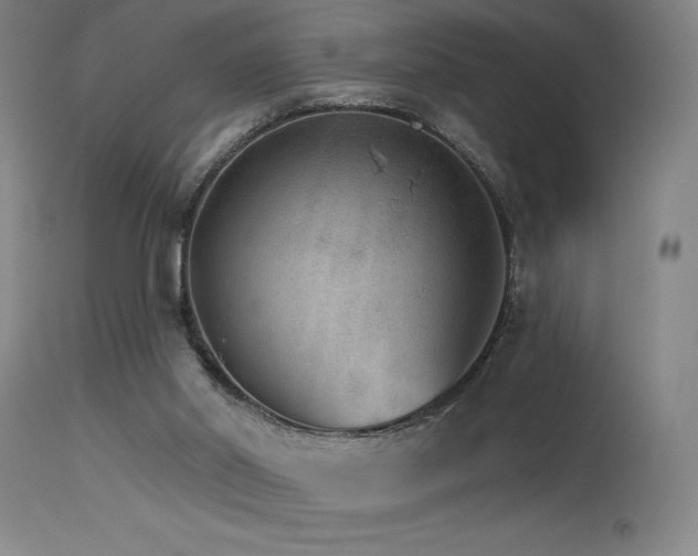 X0000115650014200911101550