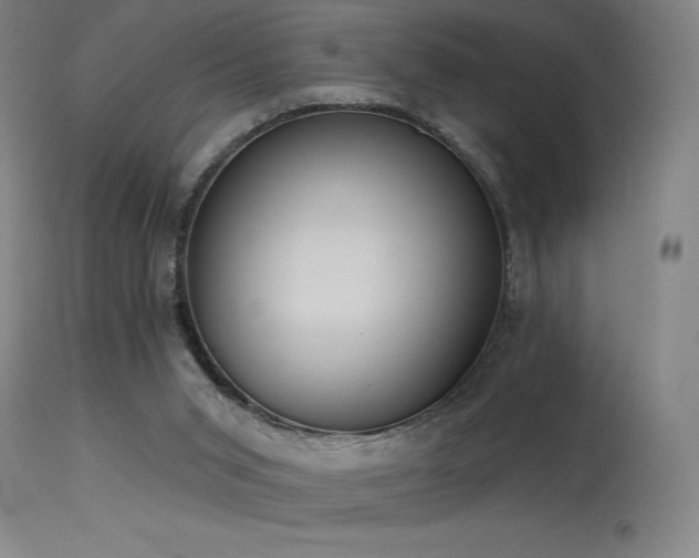 X0000115650015200911101550