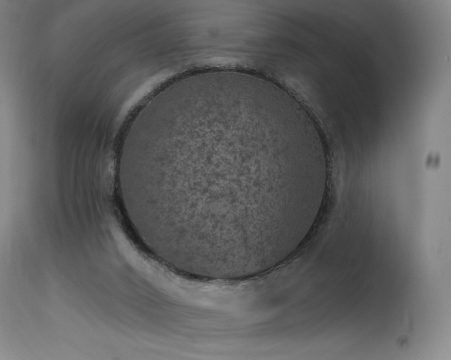 X0000115650016200911101550