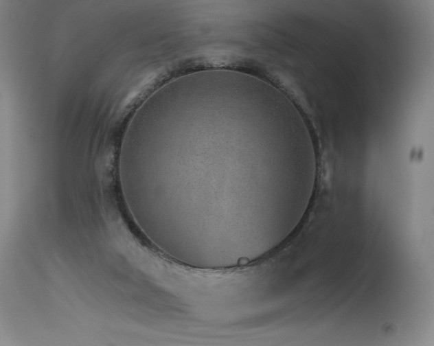 X0000115650018200911101550