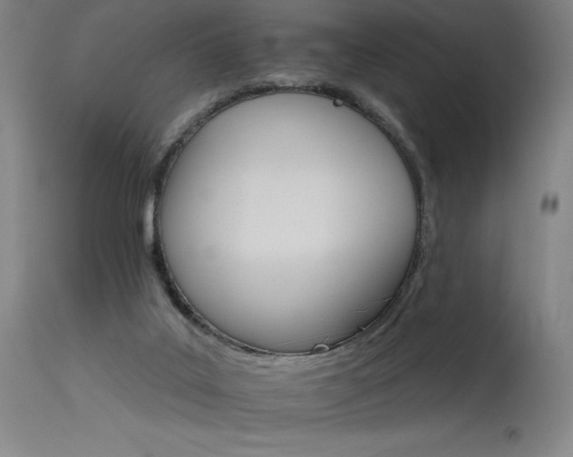 X0000115650019200911101550