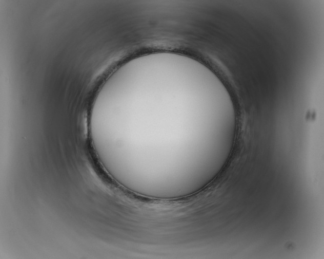 X0000115650020200911101550