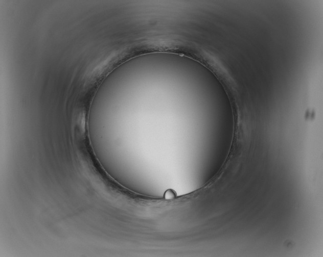 X0000115650021200911101550