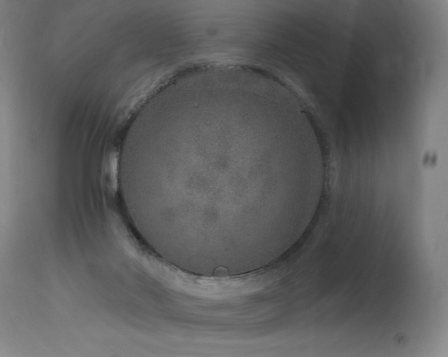 X0000115650022200911101550