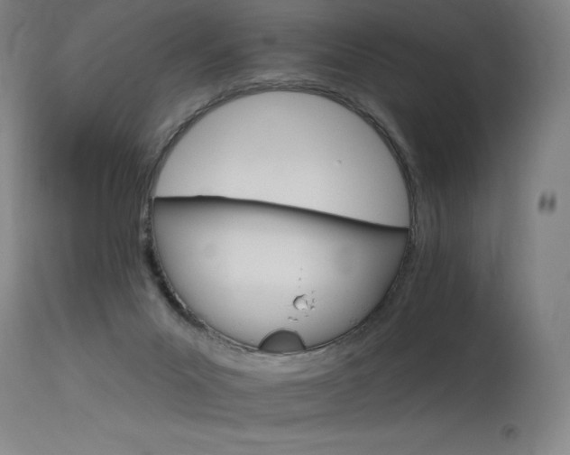 X0000115650023200911101550
