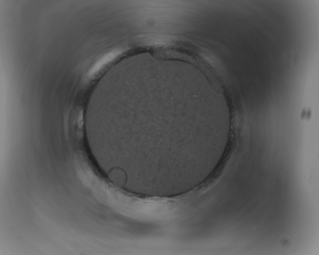 X0000115650024200911101550