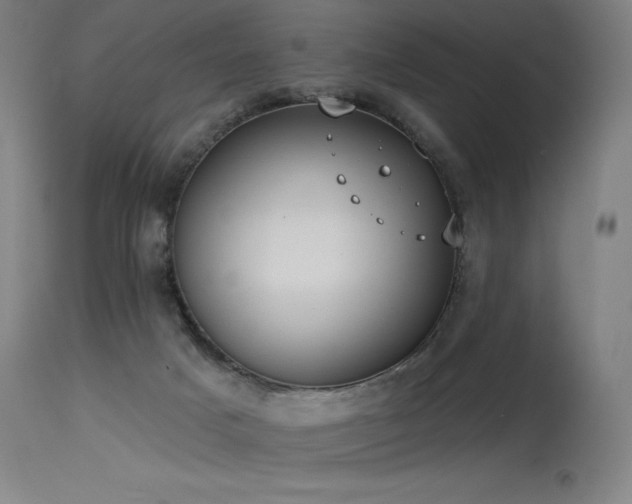 X0000115650025200911101550