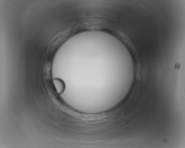 X0000115650026200911101550