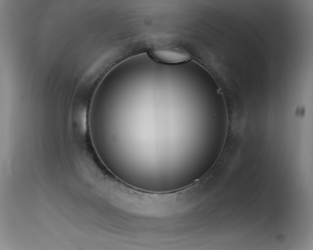 X0000115650027200911101550