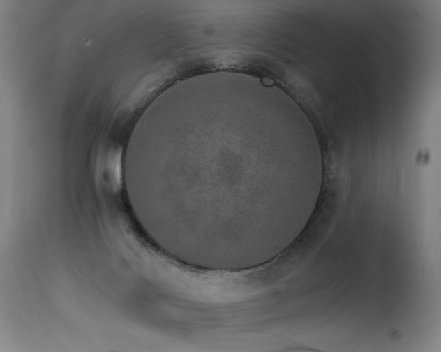 X0000115650028200911101550