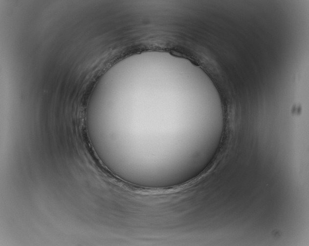 X0000115650029200911101550