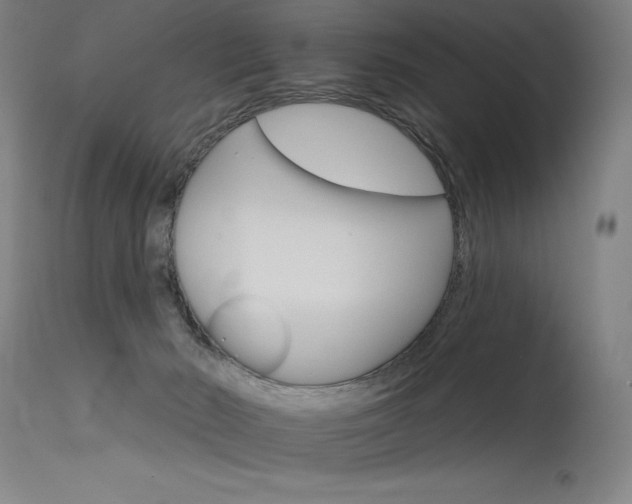 X0000115650030200911101550