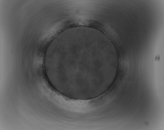 X0000115650032200911101550