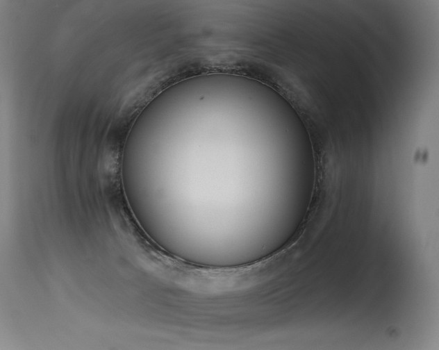 X0000115650033200911101550