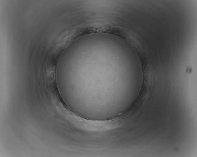 X0000115650034200911101550