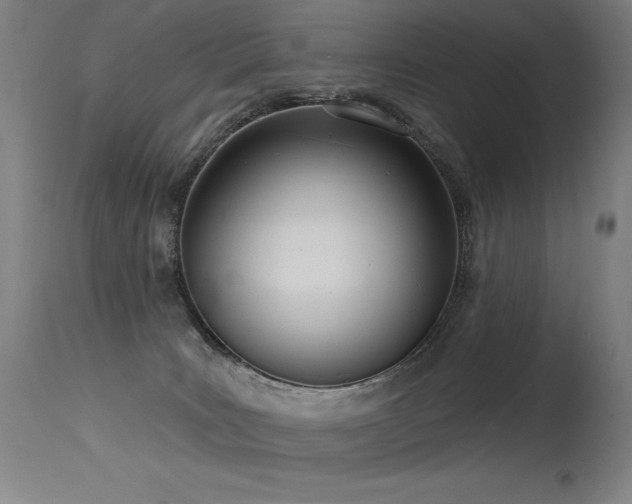 X0000115650035200911101550