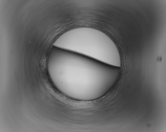 X0000115650036200911101550