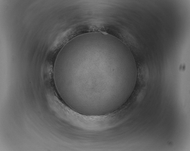 X0000115650038200911101549
