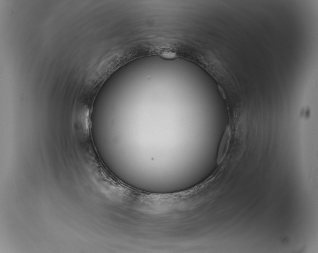 X0000115650041200911101549