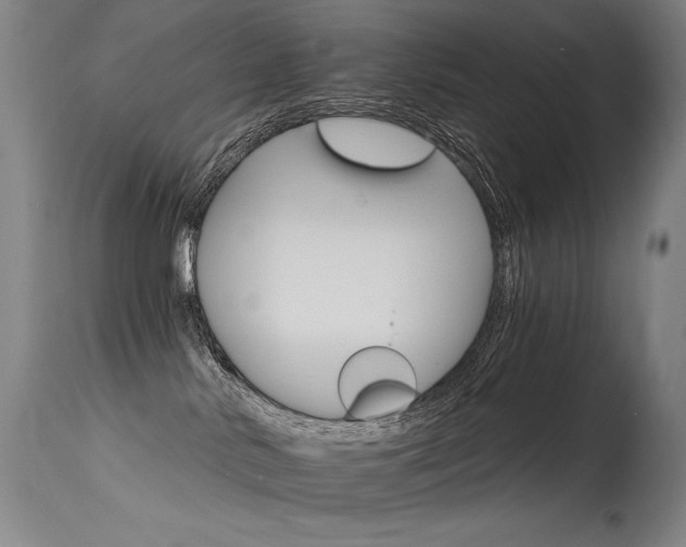 X0000115650042200911101549