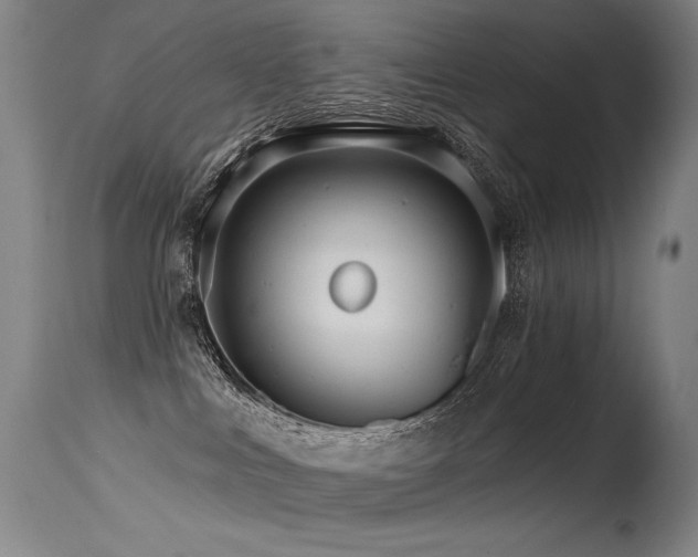 X0000115650043200911101549