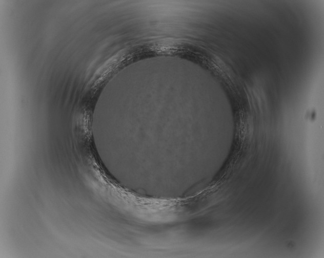 X0000115650044200911101549