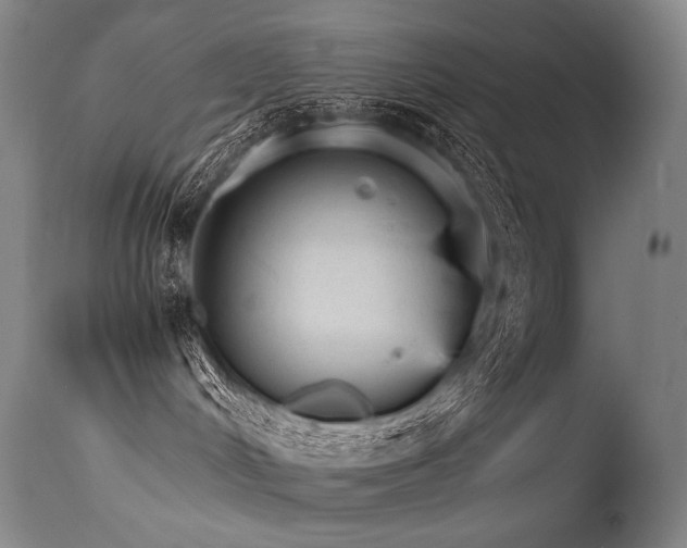 X0000115650048200911101549