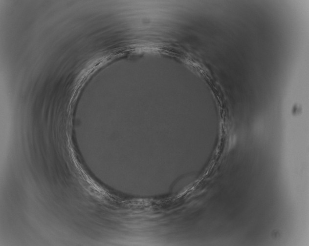 X0000115650049200911101549