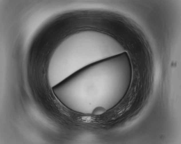 X0000115650050200911101549