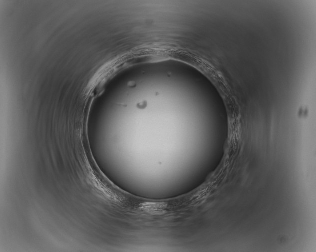 X0000115650051200911101549