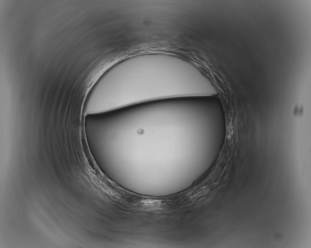 X0000115650052200911101549