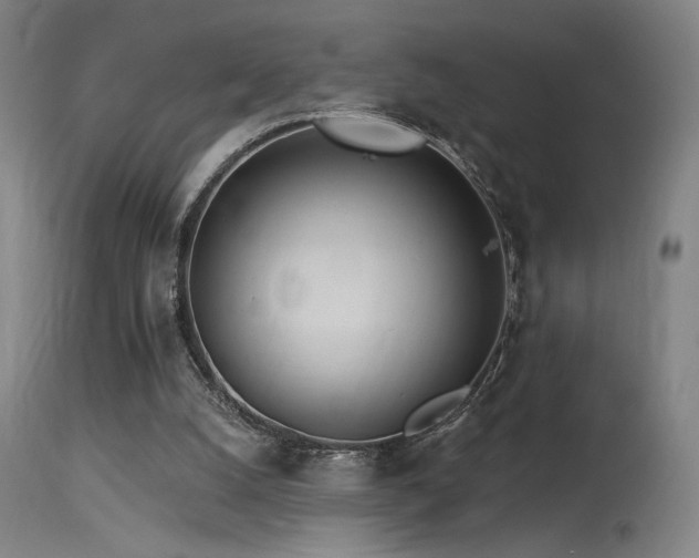 X0000115650056200911101549