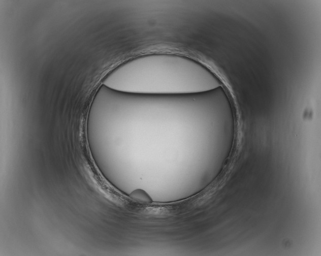 X0000115650057200911101549