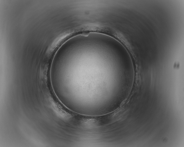 X0000115650058200911101549