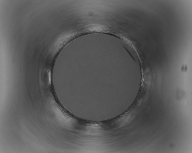 X0000115650061200911101549