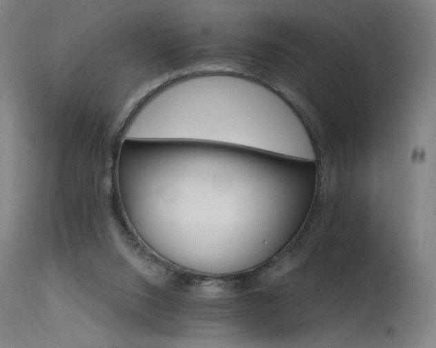 X0000115650064200911101549