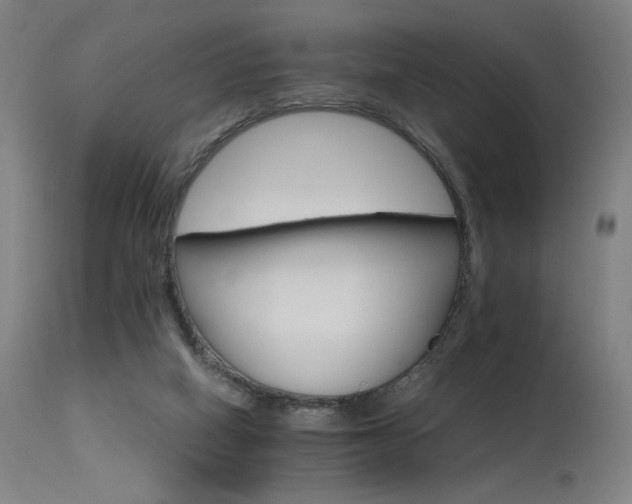 X0000115650066200911101549