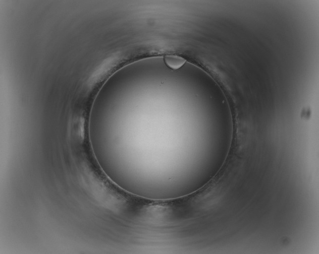X0000115650067200911101549