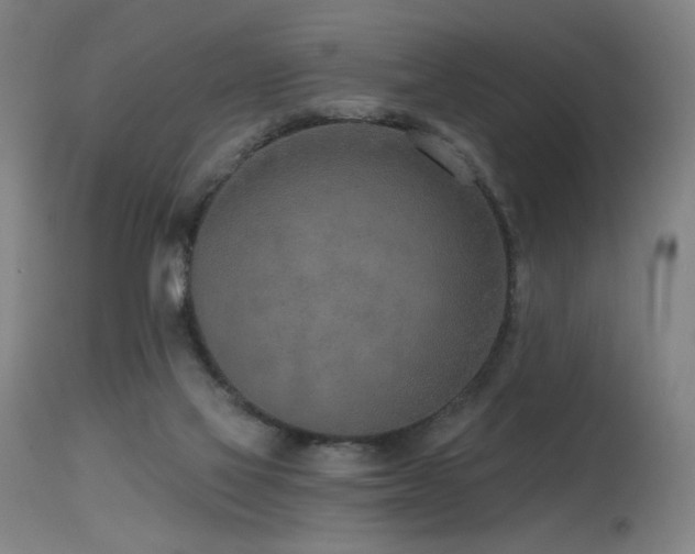 X0000115650069200911101549