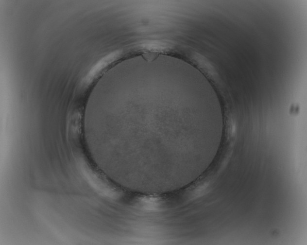 X0000115650071200911101549